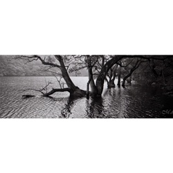 dailyPhoto37